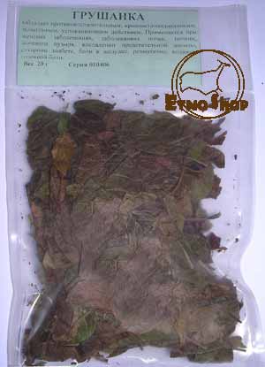 Грушанка круглолистная (Pyrola rotundifolia L.)
