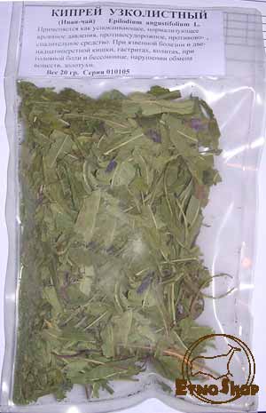 Кипрей узколистный, иван-чай (Epilodium angustifolium L.)