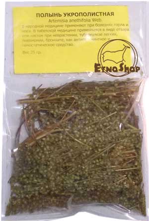 Полынь укрополистная / Artemisia anethifolia Web.