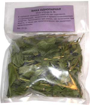 Горошек однопарный, вика однопарная / Vicia unijuga A. Br. Широко применяется в тибетской медицине.